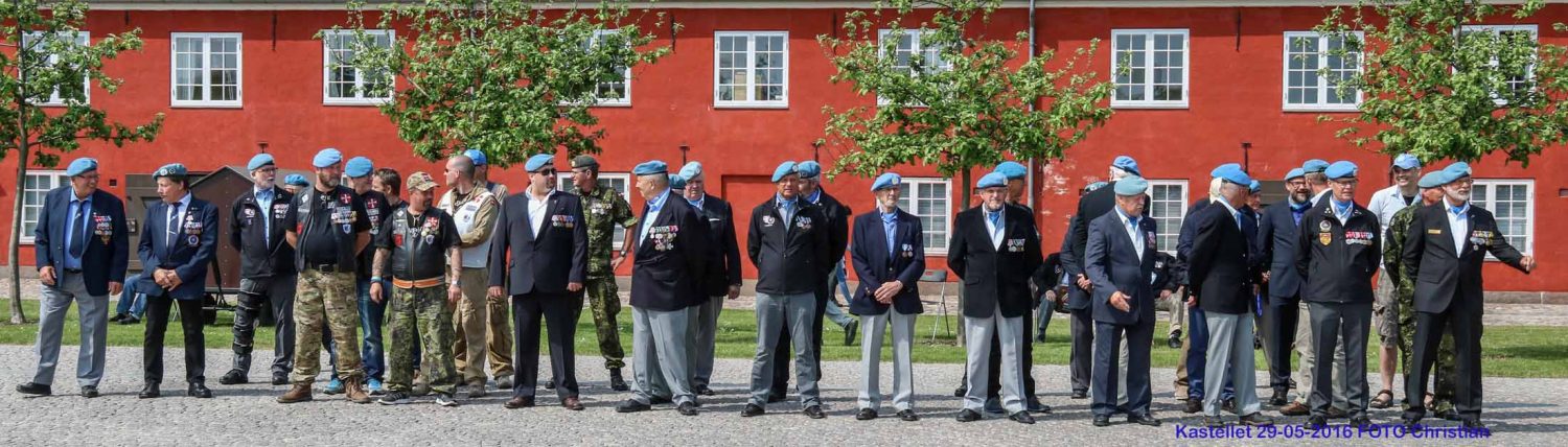 Danmarks Veteraner